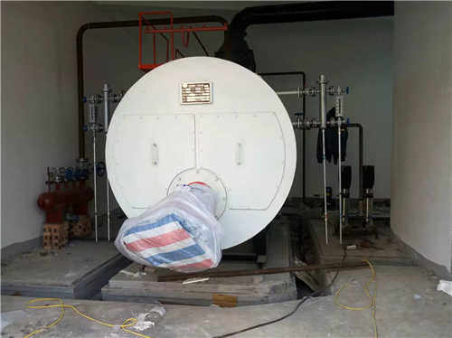 安徽亳州太安堂包裝機集團2噸燃氣鍋爐